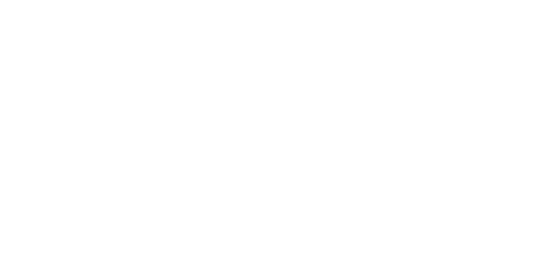Orion Network